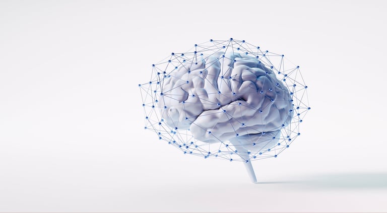Red neural cerebral y salud cognitiva